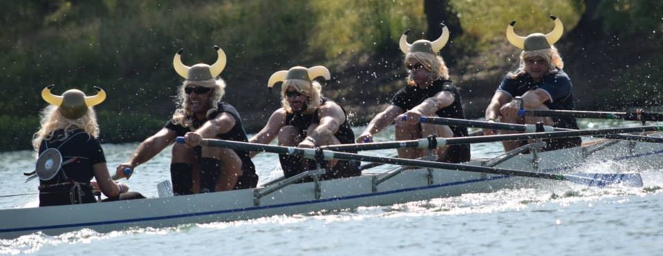 Equipage Vikings